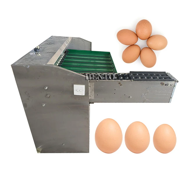 Egg Sorting Machine price