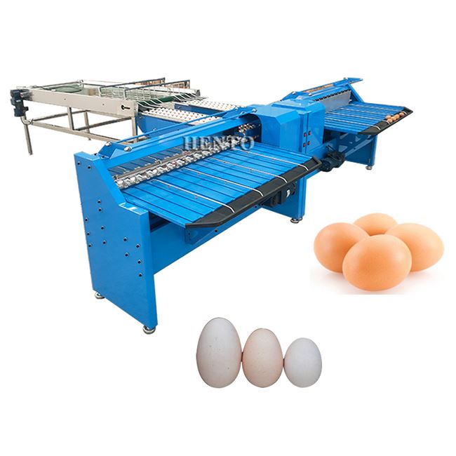 Egg Sorting Machine factory