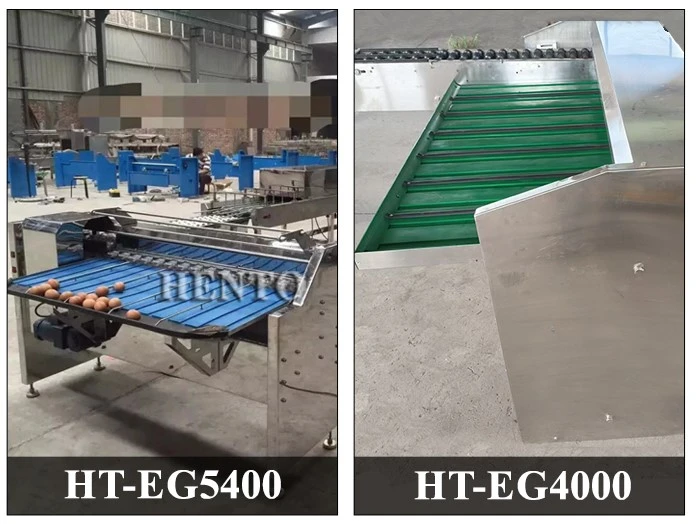Egg Weight Grader Egg Weight Grader