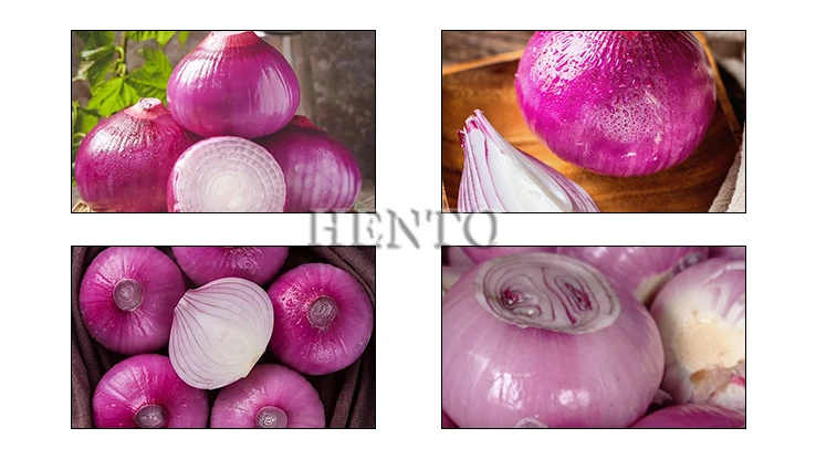Dry Onion Peeling Machine Dry Onion Peeling Machine